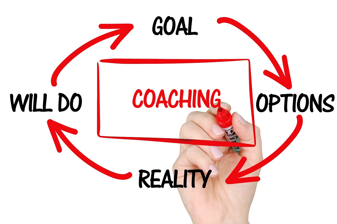plam coaching ontológico